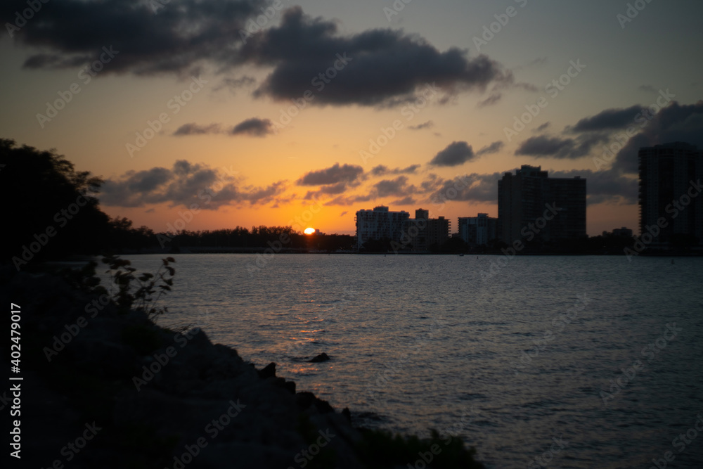 sunset in nature with buildings in background in miami