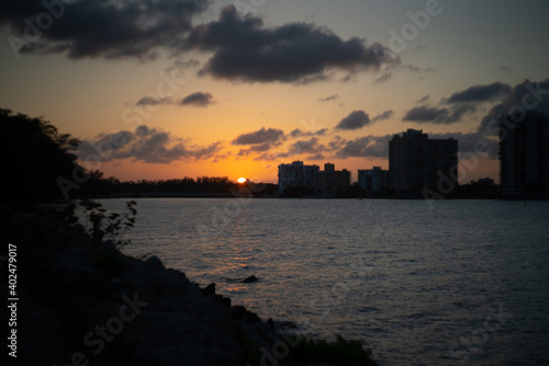 sunset in nature with buildings in background in miami