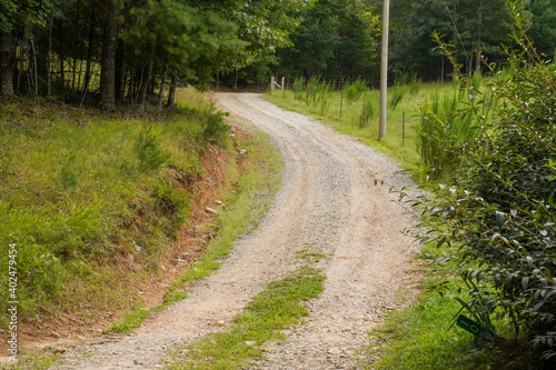 gravel road in the woods