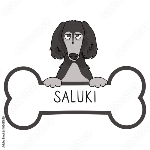 Cute cartoon Saluki on collar dog tag vector clipart. Purebred doggy identification medal for pet id. Domestic dog for pet pooch. 
