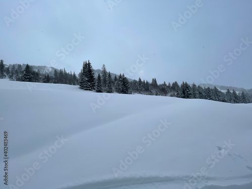 winter landscape with snow