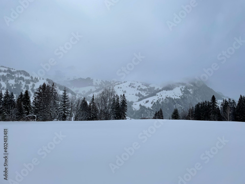 snow covered mountains