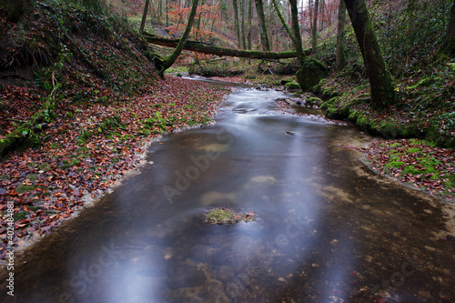 Der Tobelbach im Toesstal. photo