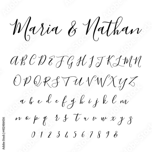 Script Italic Font Cursive Vector Hand-drawn Alphabet 