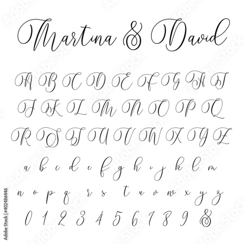 Script Brush Font Cursive Vector Hand-drawn Alphabet 