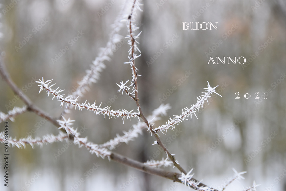 Obraz premium Buon anno 2021