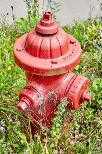 Red Fire Hydrant in Weeds 1 © Jeffrey