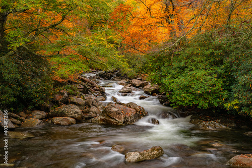 Fall Colors Changing Over West Prong little Pigeon River