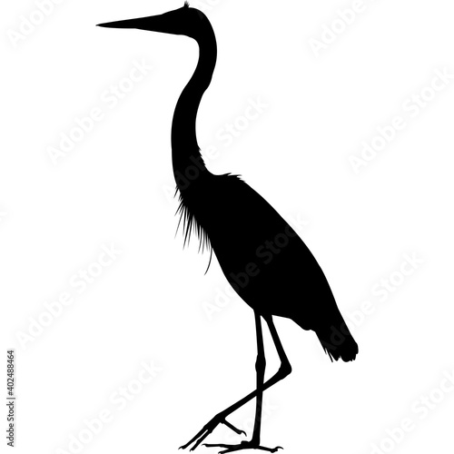Great Blue Heron Silhouette Vector