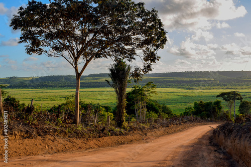 Estrada de terra em paisagem rural. Horizonte verde, vegetação tropical e céu azul