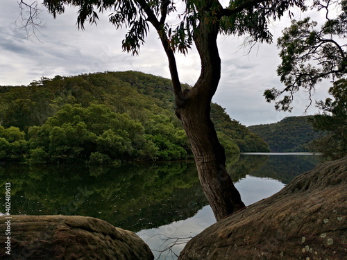 Beautiful view of a creek with reflections of mountains, trees, and cloudy sky on water, Crosslands Reserve, Berowra Valley National Park, New South Wales, Australia
 photo