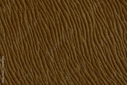 Brown color of hairy natural fur pattern texture background. Image photo