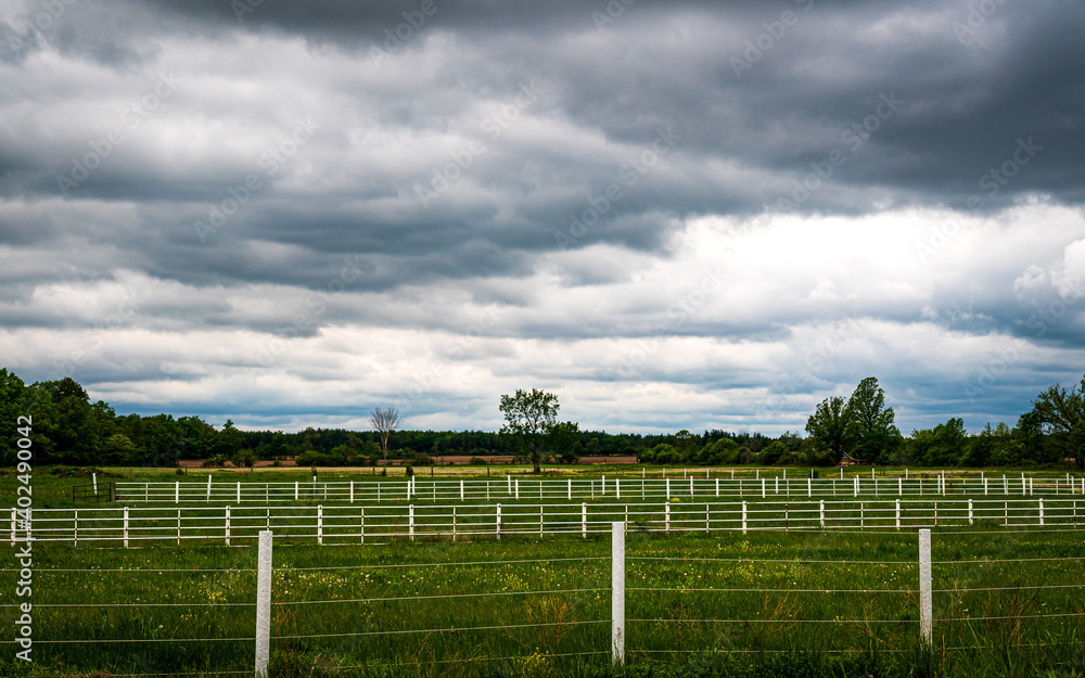 Fototapeta premium clouds over the field with parallel fences