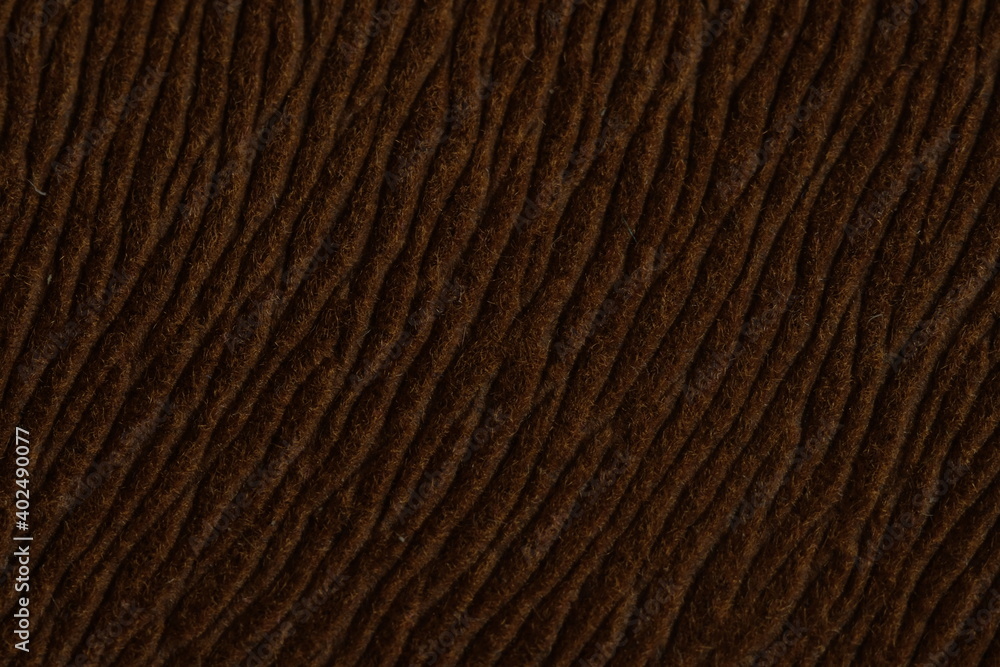 Brown earth color of hairy natural fur pattern texture background. Image photo Brown earth color of hairy natural fur pattern texture background. Image photo