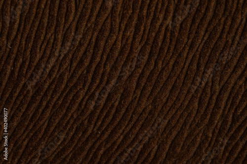 Brown earth color of hairy natural fur pattern texture background. Image photo
