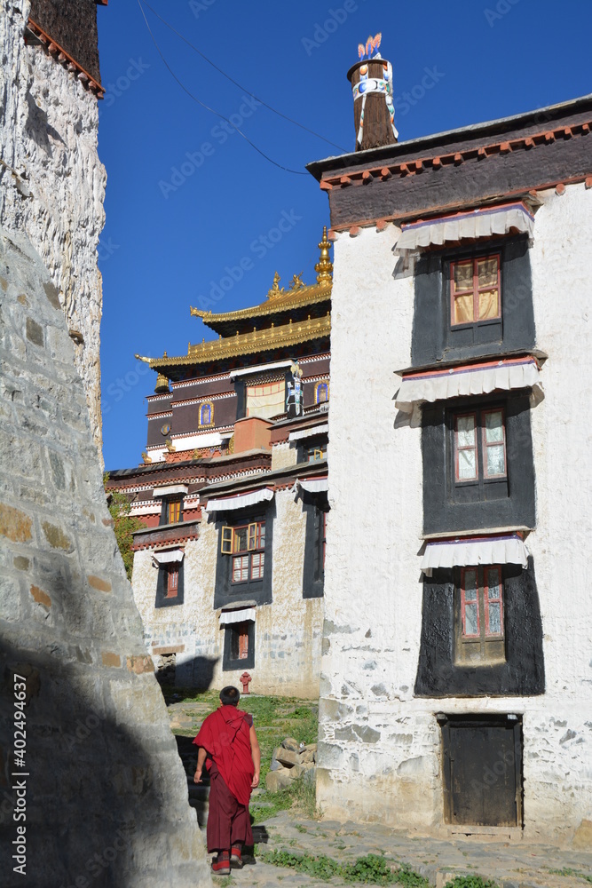 Tibet Monastery  - Monk