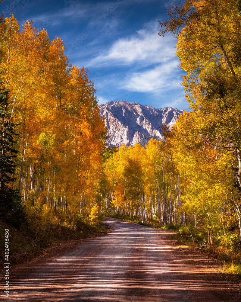 Obraz premium Tree leaves changing color in the Fall in the Rocky Mountains of Colorado. The sky is blue with a few clouds. There are lots of Aspen Trees with yellow and orange leaves. 