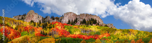 Tree leaves changing color in the Fall in the Rocky Mountains of Colorado. The sky is blue with a few clouds. There are lots of Aspen Trees with yellow and orange leaves. 