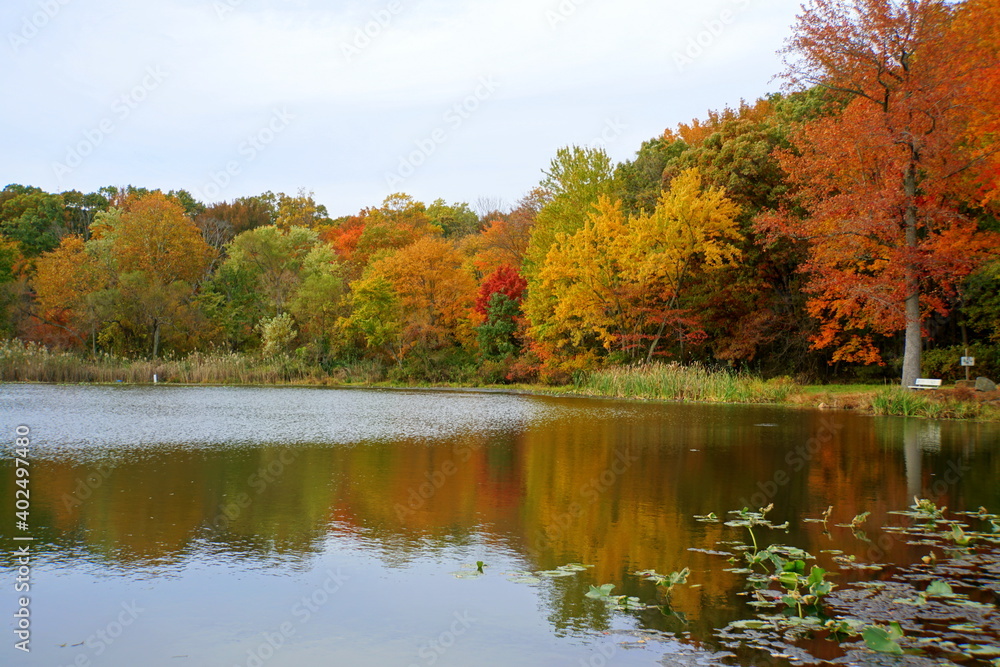 A beautiful day with reflection the fall foliage at Folley Pond near Banning Park, Wilmington, Delaware, U.S.A