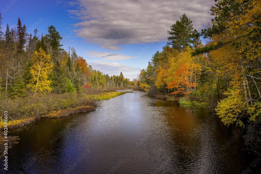 Fototapeta premium Autumn colored forest along the Wisconsin River