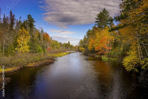 Autumn colored forest along the Wisconsin River