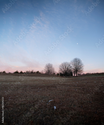 Landscape of blue sky with pink clouds, tree silhouette, grassy field with dusting of snow, and the moon.