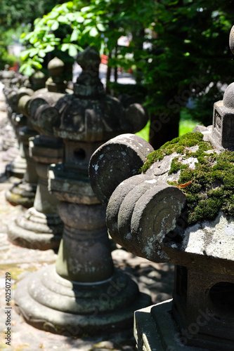 ５月の春の仙台東照宮の参道の石灯籠の風景