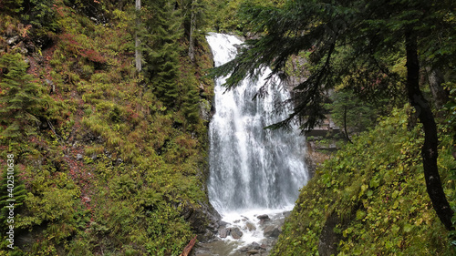 A powerful stream of the waterfall falls from the mountainside. Lush green vegetation around. In the foreground is a coniferous tree. Caucasus. Russia Sochi