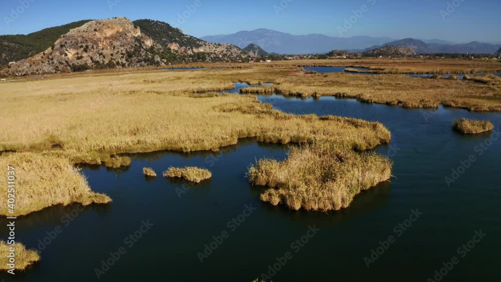 drone is flying over the yellowed reeds in the delta. low flight. wetland. Dalyan Turkey. 4K. autumn. There are mountains in the background. drone is flying over the yellowed reeds in the delta. low flight. wetland. Dalyan Turkey. 4K. autumn. There are mountains in the background.