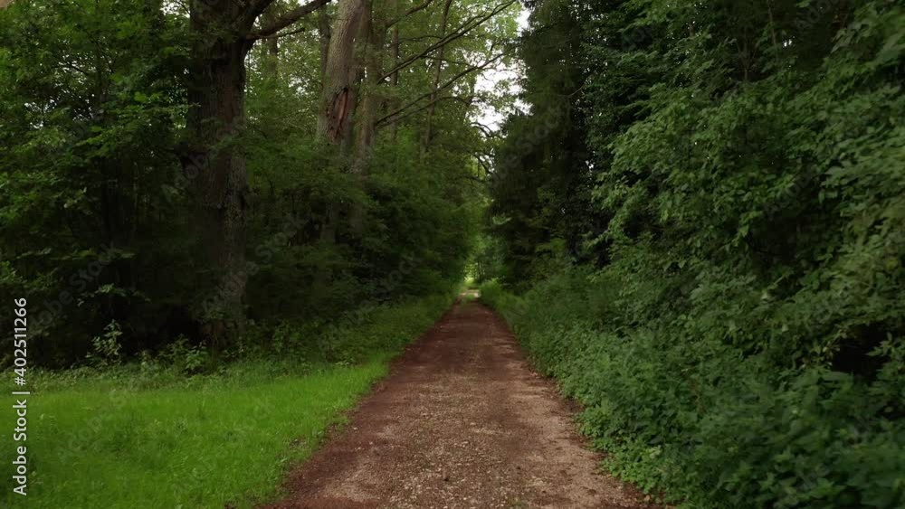 Going throw a forest in a dark environment. Going throw a forest in a dark environment.