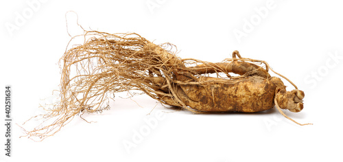Ginseng roots on a white background © zcy