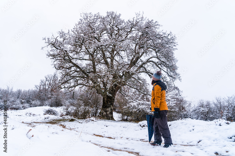 Young girl in a yellow jacket walking through the snow next to a tree. Snow in the town of Opakua near Vitoria in Araba, Basque Country. Spain