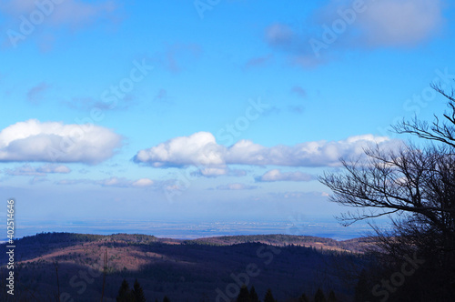 Panoramic view of gray autumn mountains covered with forest with fallen leaves under blue sky with white clouds in autumn day