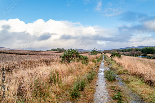 The way to Tullyard wood by Ardara in County Donegal - Ireland