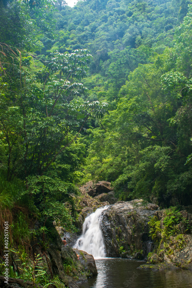 waterfall in the rain forest