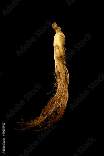 Foto premium korean wild ginseng