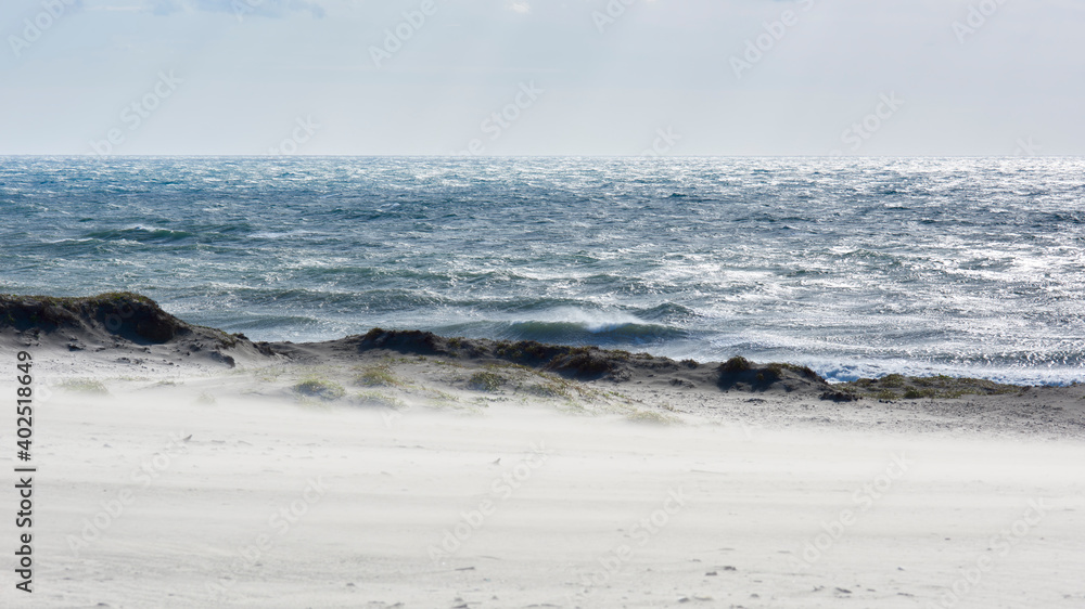 Fototapeta premium 強風と飛砂と海