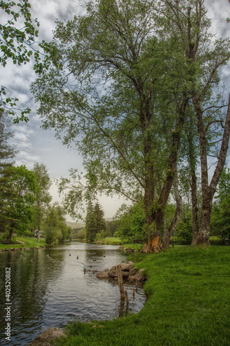 A river in the park with ducks © sandradombrovsky