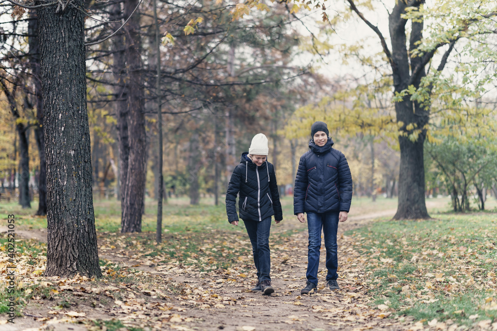 teen girl and boy walking through the park and enjoys autumn, beautiful nature with yellow leaves teen girl and boy walking through the park and enjoys autumn, beautiful nature with yellow leaves