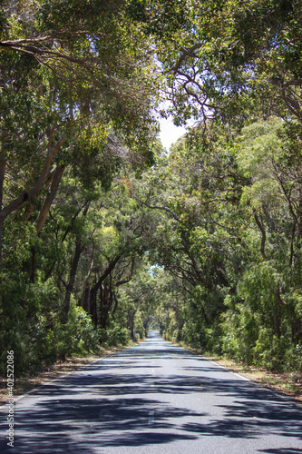 Shadowed Road