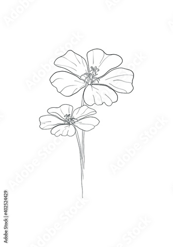 line art-Poppy flower Minimalist contour drawing. One line artwork,floral pattern for design linear art