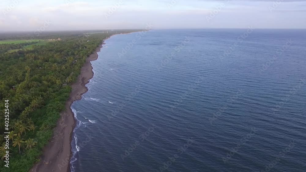 Long stretch of Beach, sea shore littered with ocean debris washed on the shore. Drone, Aerial Long stretch of Beach, sea shore littered with ocean debris washed on the shore. Drone, Aerial