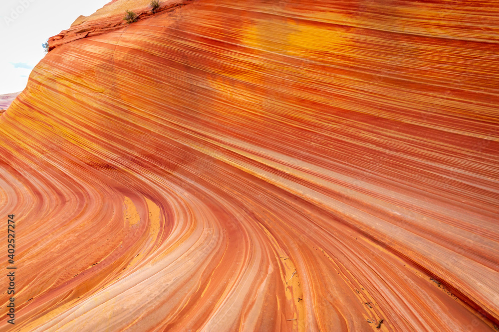 Obraz premium The Wave sandstone formation in Arizona