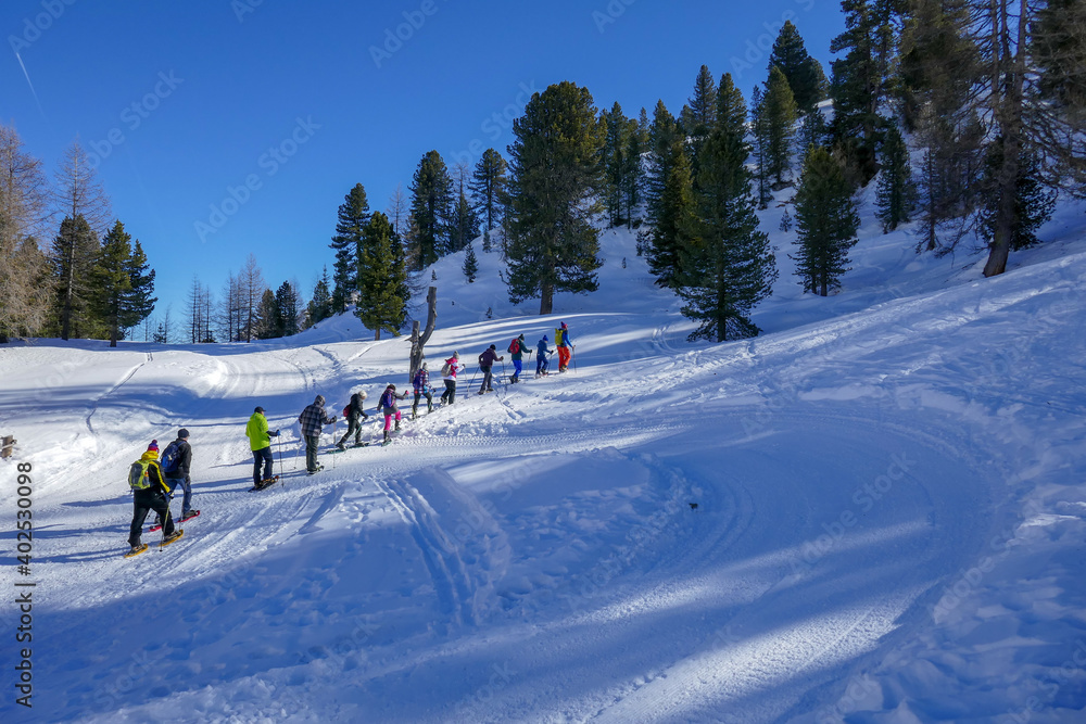 Fototapeta premium Schneeschuhwanderung einer Gruppe in den Alpen