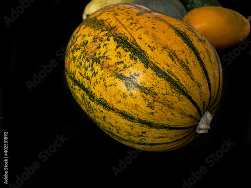 Delicata squash on a black wooden surface with other squashes on background