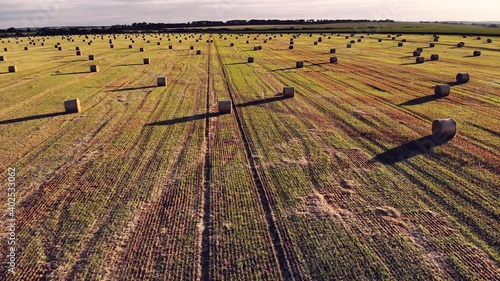 Drone flight over a field with cylindrical haystacks Evening view at sunset. Flying over harvested field with collected hay bales. Landscape field meadow with hay bales after harvest.