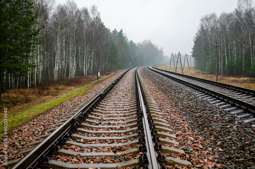 Fototapeta premium railroad landscape with rails