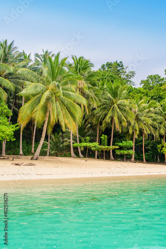 Albaguen Island (also known as Maxima and Albguan island) in Port Barton Bay with paradise white sand beaches - Tropical travel destination in Palawan, Philippines