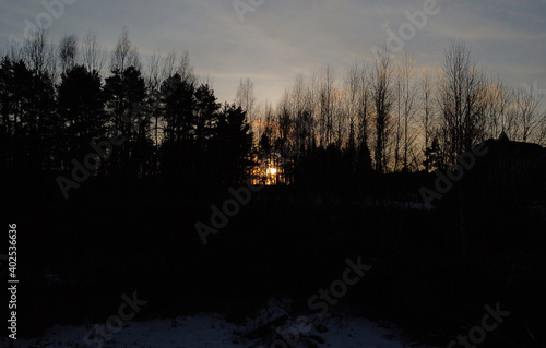 Big sun over the silhouette of black forest trees at sunset