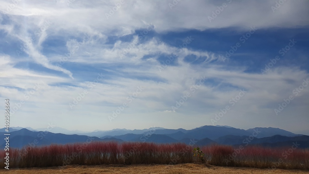 청풍호 배경 청풍호 배경